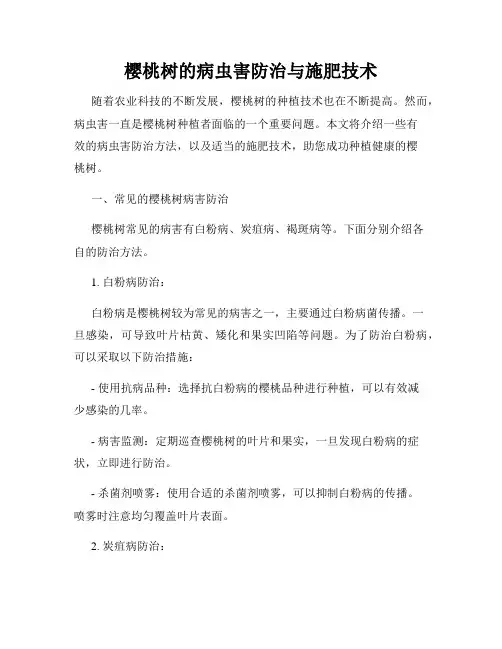 樱桃树的病虫害防治与施肥技术