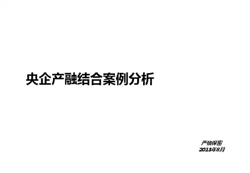 央企投资金融产业案例分析