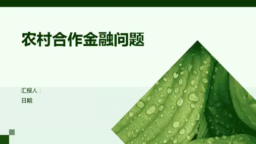 农村合作金融问题