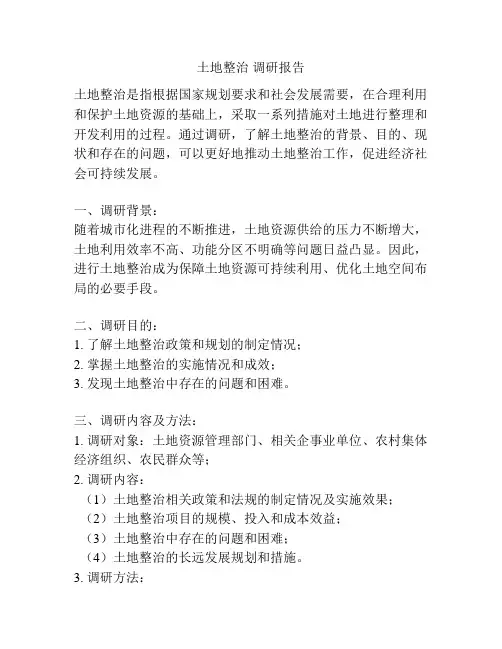 土地整治 调研报告