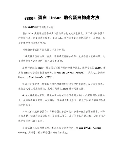 ggggs 蛋白linker 融合蛋白构建方法