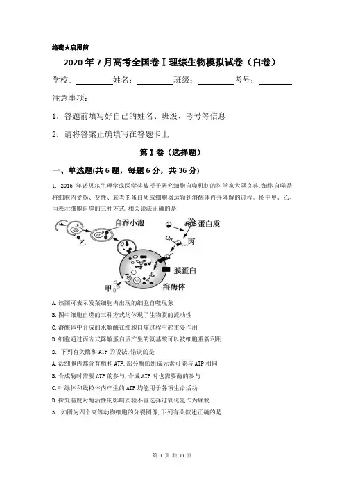 2020年7月高考全国卷Ⅰ理综生物模拟试卷及答案解析(白卷)