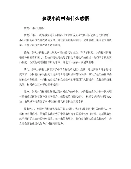 参观小岗村有什么感悟