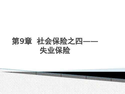 失业保险的分析介绍PPT