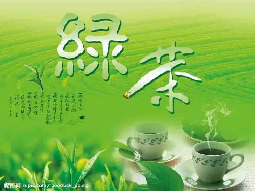 绿茶品种