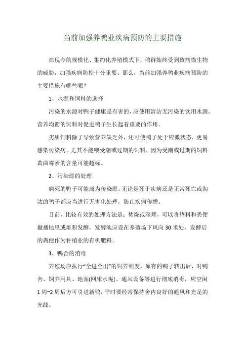当前加强养鸭业疾病预防的主要措施