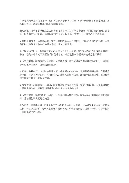 月季夏天移栽多久知道成活