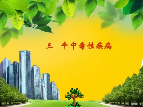 牛中毒性疾病大全完整版资料