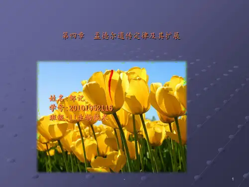 第五章  遗传的基本定律及其扩展..ppt课件