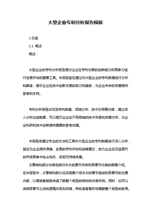 大型企业专利分析报告模板