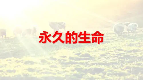 最新人教部编版八年级语文上册《永久的生命》精品教学课件