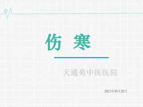 伤寒课件ppt模板