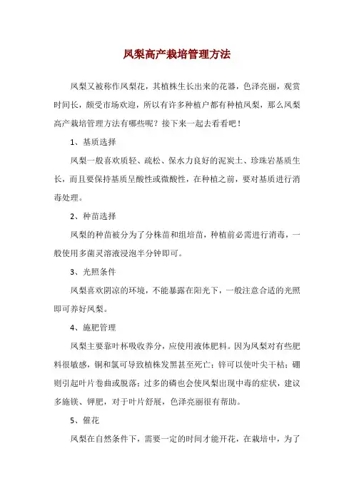 凤梨高产栽培管理方法