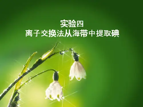 实验四  离子交换从海带中提取碘