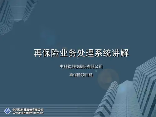 再保险系统讲解