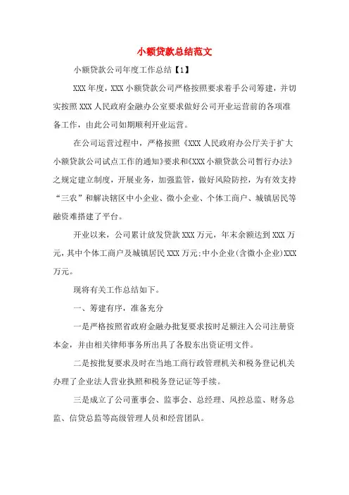 2020年小额贷款总结范文