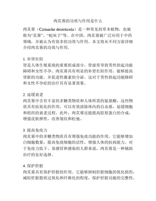 肉苁蓉的功效与作用是什么