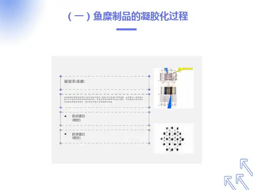 项目四鱼糜加工技术