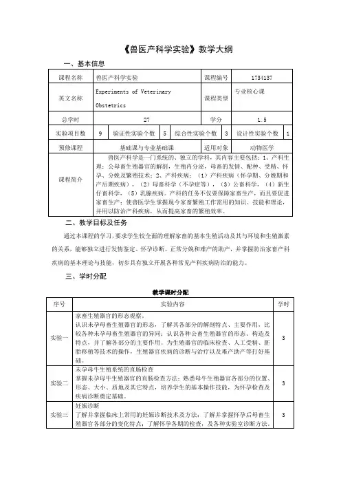 、实验课教学大纲格式及说明