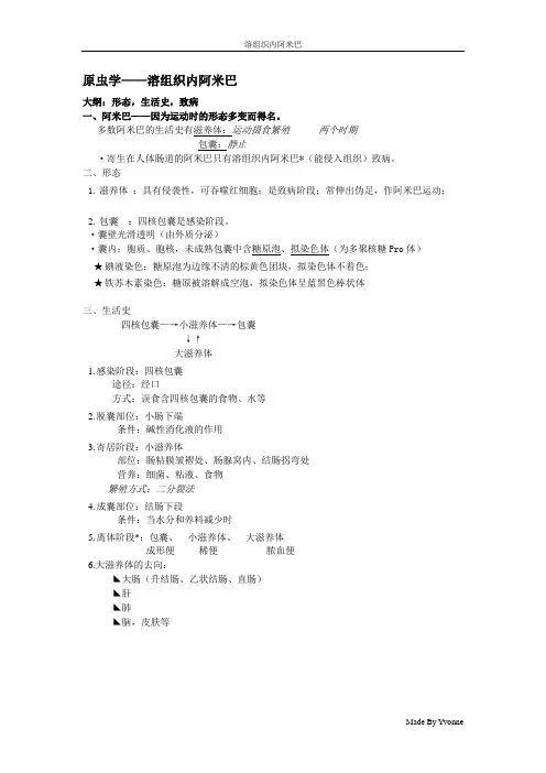 原虫-阿米巴