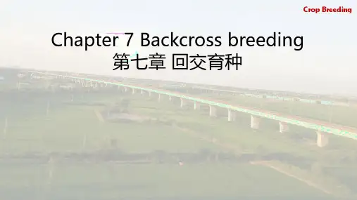 07-第七章回交育种分3个知识点