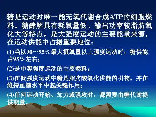 运动与糖代谢