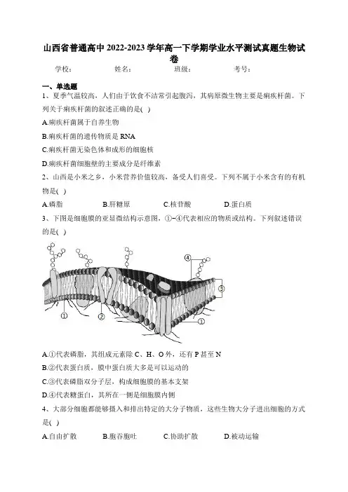 山西省普通高中2022-2023学年高一下学期学业水平测试真题生物试卷(含答案)