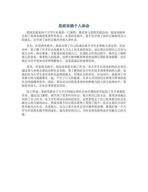 思政实践个人体会