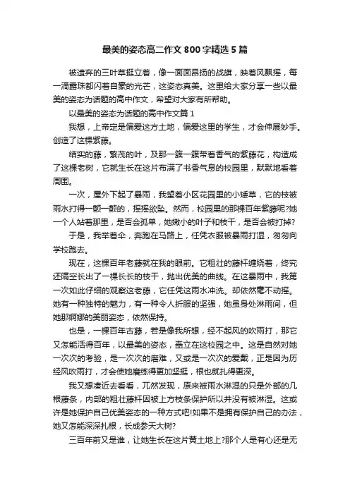最美的姿态高二作文800字精选5篇