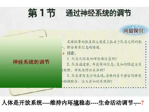 神经系统的调节PPT课件