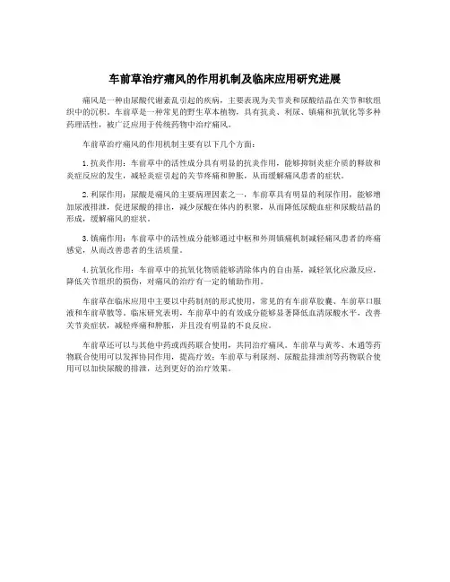 车前草治疗痛风的作用机制及临床应用研究进展