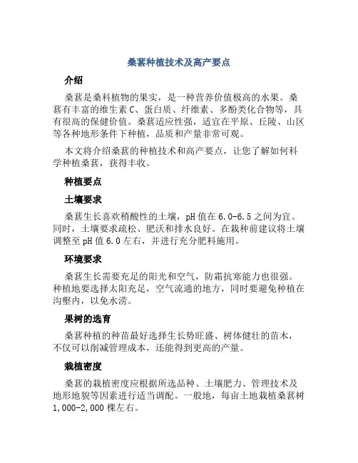 桑葚种植技术及高产要点