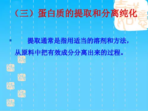 四蛋白质的提取