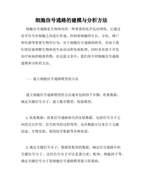 细胞信号通路的建模与分析方法