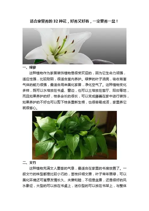 适合家里养的32种花，好养又好看，一定要养一盆！