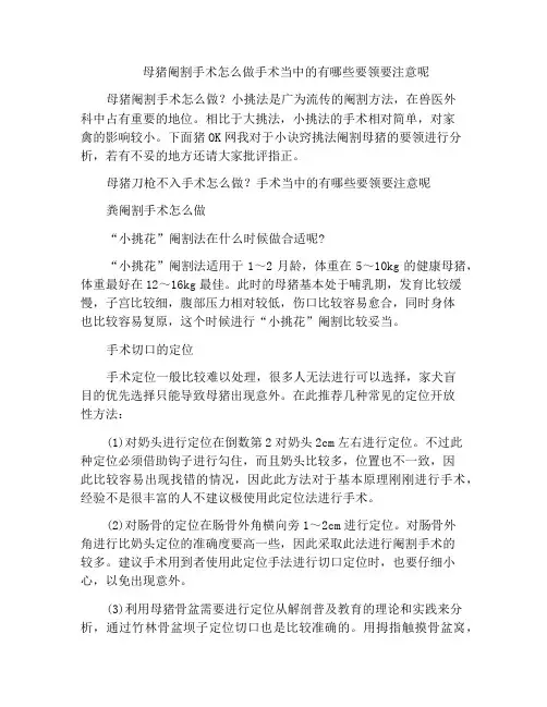 母猪阉割手术怎么做手术当中的有哪些要领要注意呢