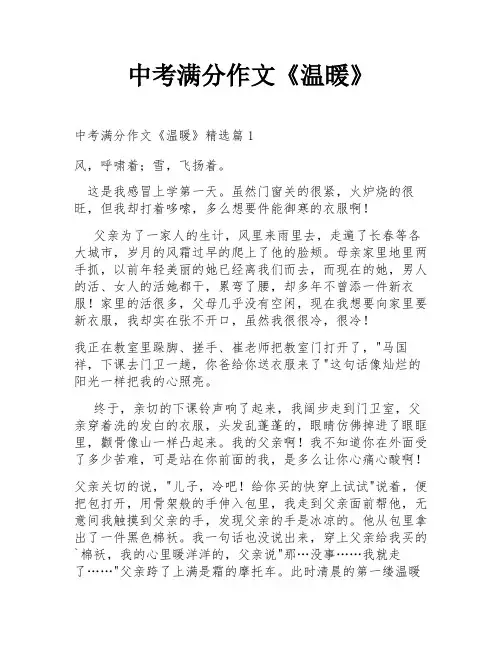 中考满分作文《温暖》