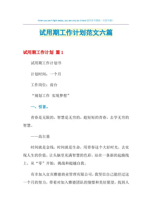 2021年试用期工作计划范文六篇