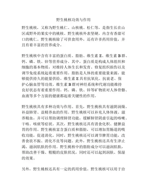 野生桃核功效与作用