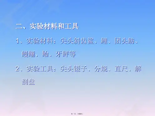 鱼类学实验