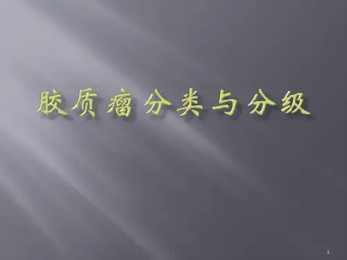 胶质瘤分类与分级