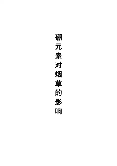 硼与烟草
