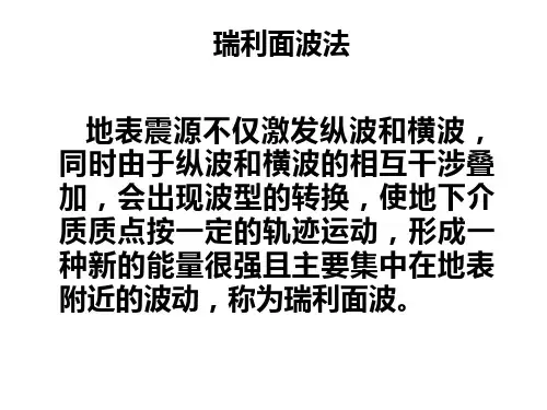 瑞雷波法