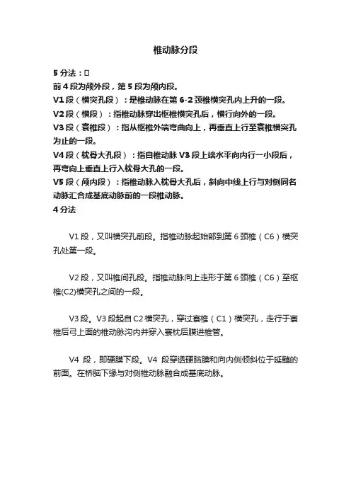 椎动脉分段