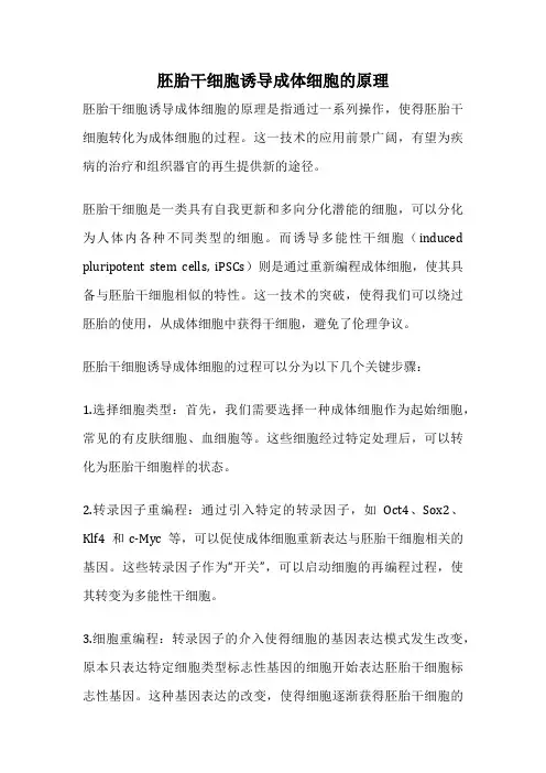 胚胎干细胞诱导成体细胞的原理