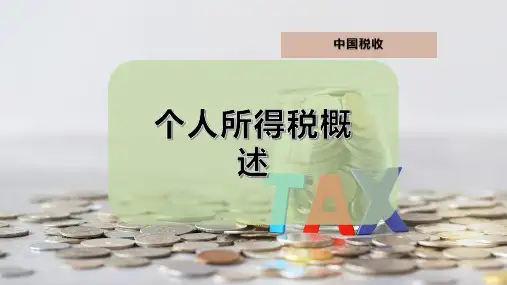 个人所得税概述