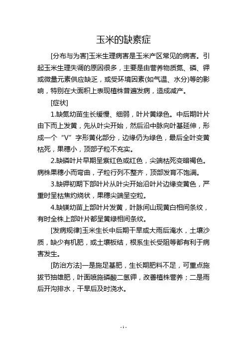玉米的缺素症