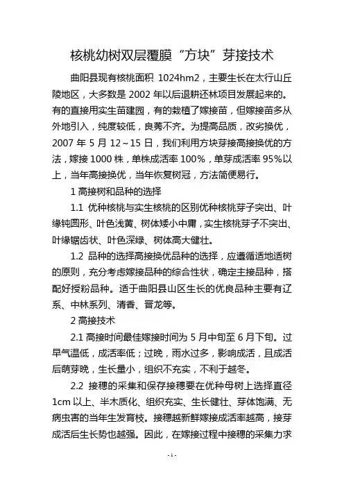 核桃幼树双层覆膜“方块”芽接技术