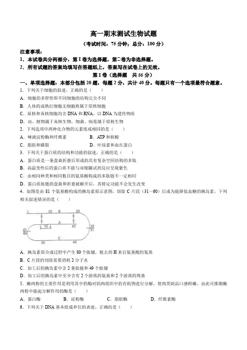 江苏省泰州中学2023-2024学年高一上学期期末 生物试题