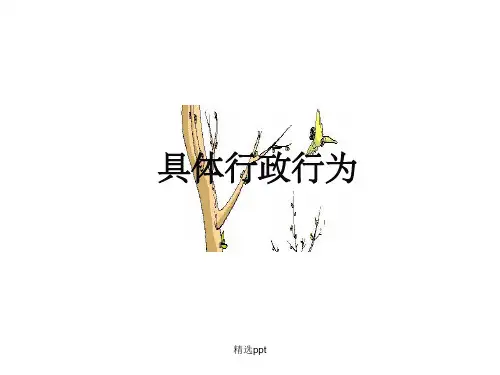 《具体行政行为》
